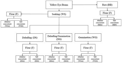 The Impact of Dehulling and Germination on the Physiochemical, Protein Solubility and Water and Oil Holding Capacities of Yellow Eye Bean (Phaseolus vulgaris L.) Protein Concentrates